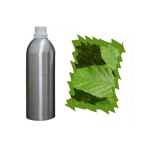 Organic Essential Oils Supplier