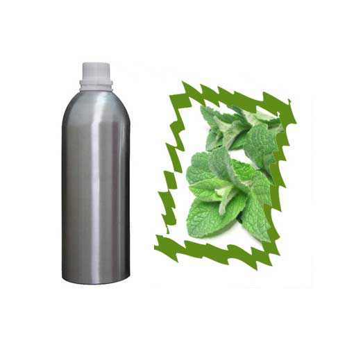 Peppermint Organic Essential Oil 
