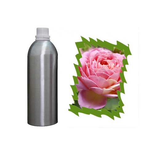 Rose Absolute Maroc 