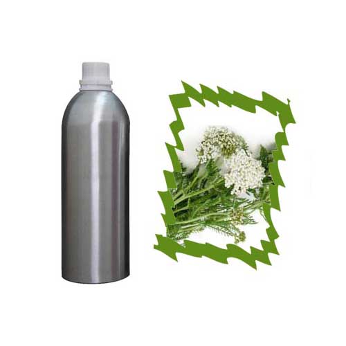 Yarrow Essential Oil
